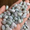 50 pcs 12 mm oval shape natural Burmese jadeite bead