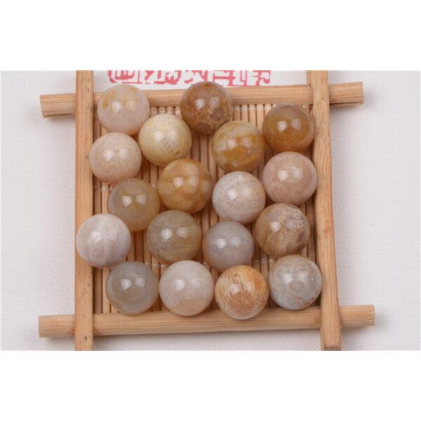 Agatized Coral bead, fossil coral bead, round bead, through hole bead - Image 5