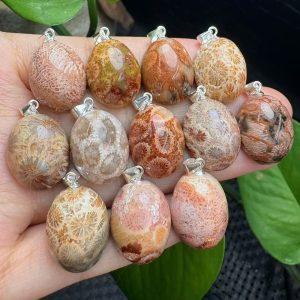 Natural Fossil Coral Jade Egg-shaped Pendant with S925 Sterling Silver Clasp