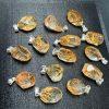 Natural Rutilated Quartz Freeform Faceted Pendant with S925 Sterling Silver Clasp