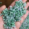 20 / 50 pcs Natural Type A Icy White and Green Jadeite Round Bead